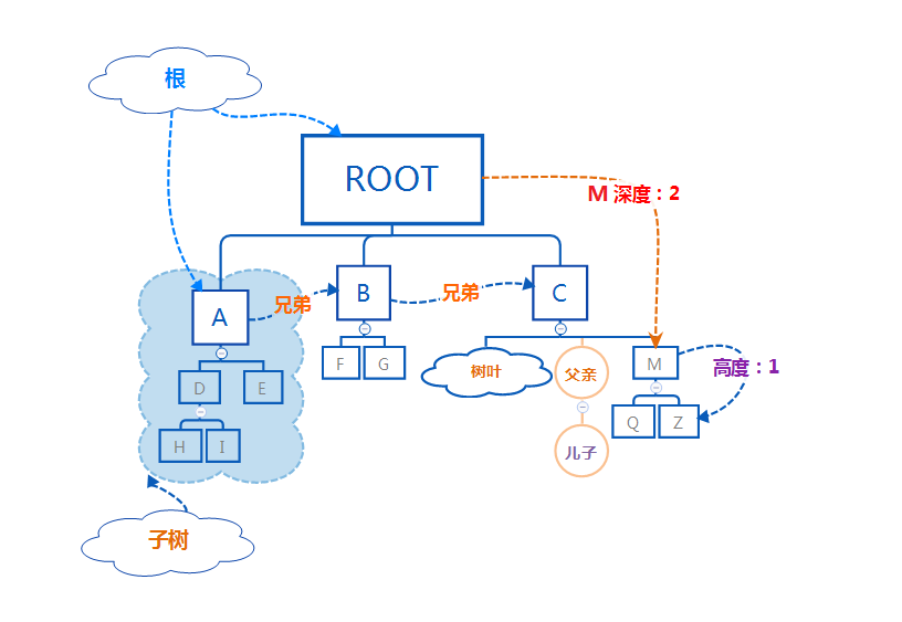 树的关系图解