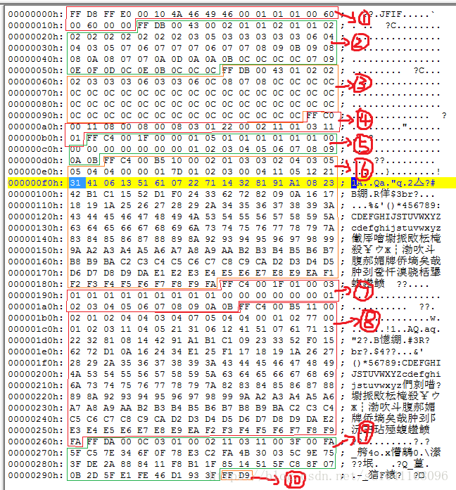 jpeg二进制代码示范